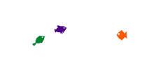 The Feeshes